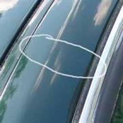 /album/galeria-de-fotos/t-19466920-2-jpg/